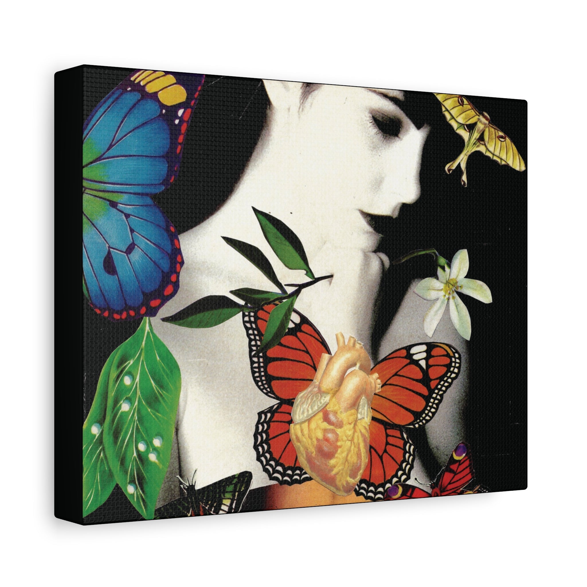 Pure Art Collection
